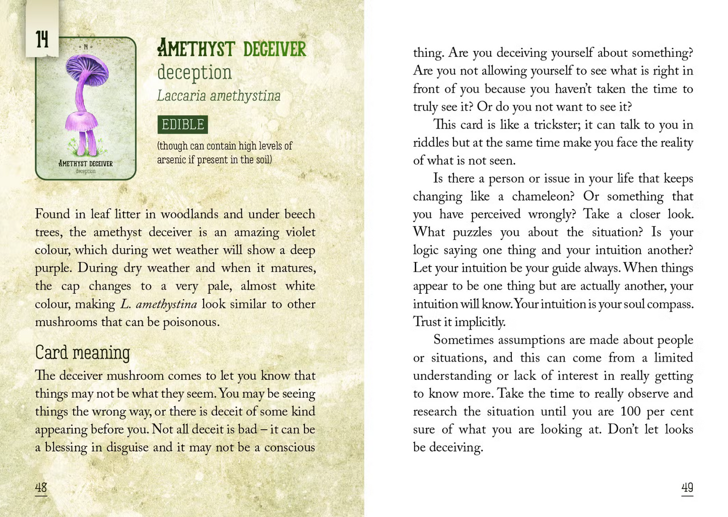 Mushroom Spirit Oracle(36 Cards & 112-Page Book)