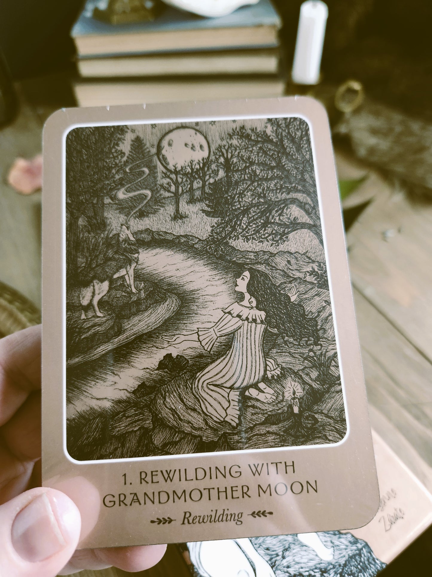 Wild Woman Oracle (44 Cards & 144 Page Guidebook)