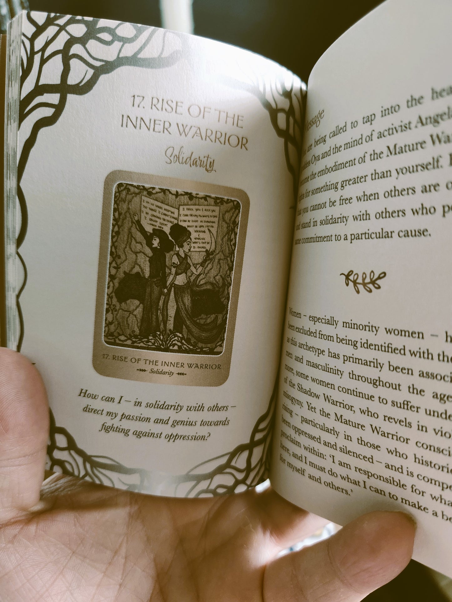 Wild Woman Oracle (44 Cards & 144 Page Guidebook)