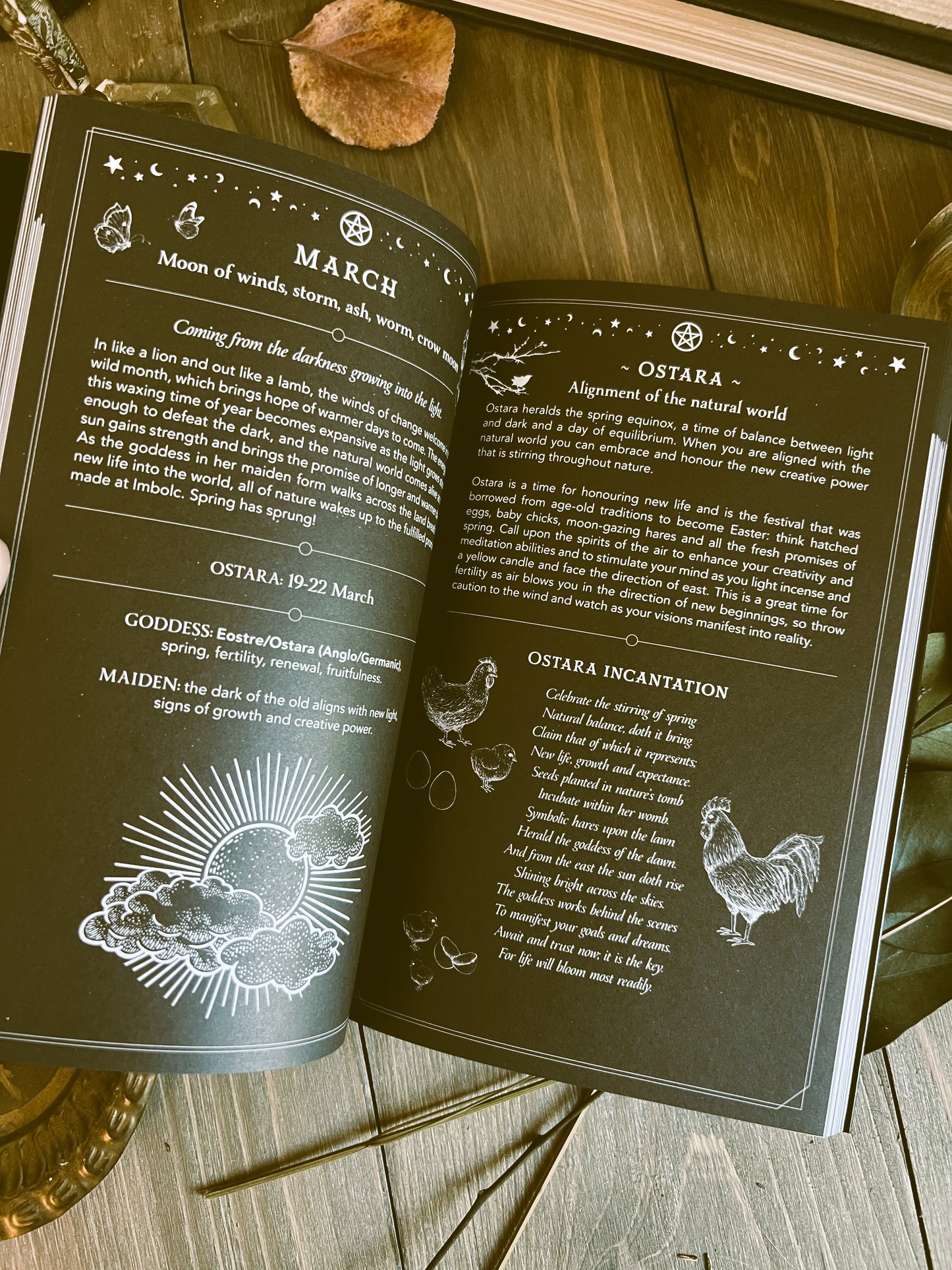 2023 Witch's Diary: Reclaiming the Magick of the Old Ways