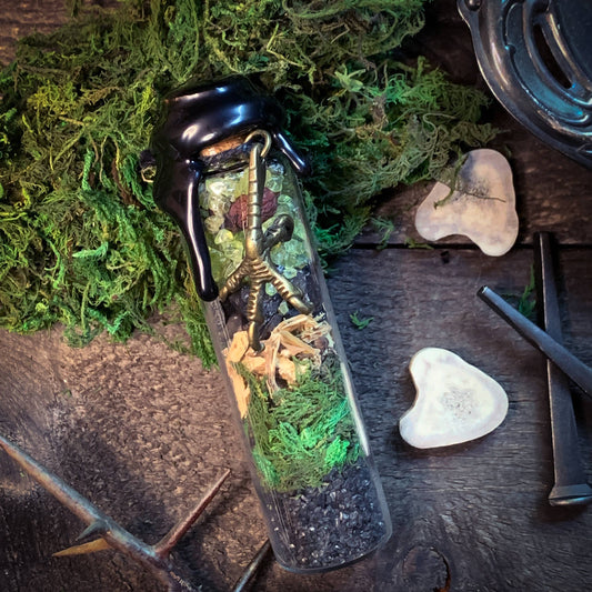 Bog Witch Spell Jar • Witch Bottle • Protection • Uncrossing