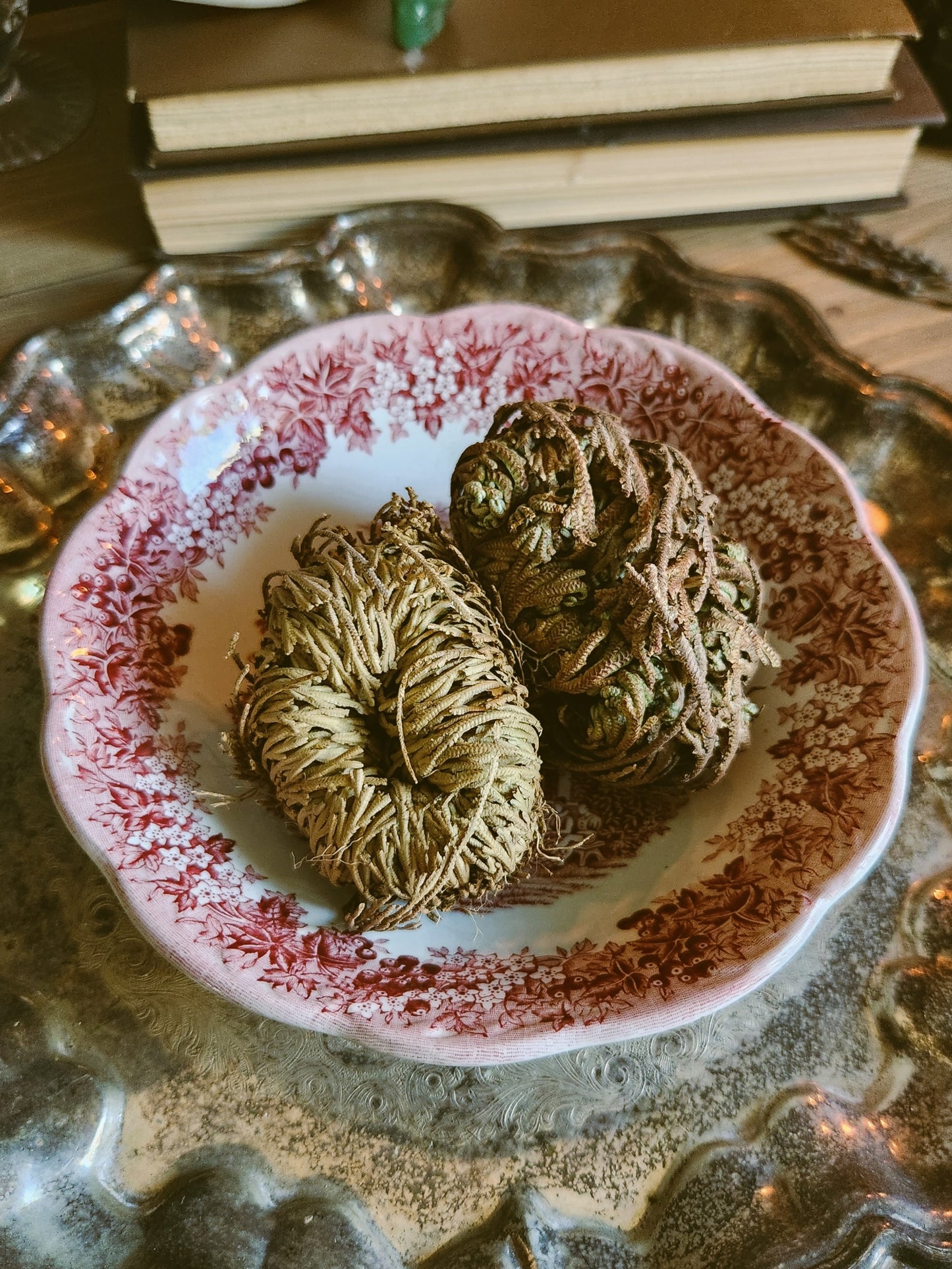 Rose of Jericho, Resurrection Flower