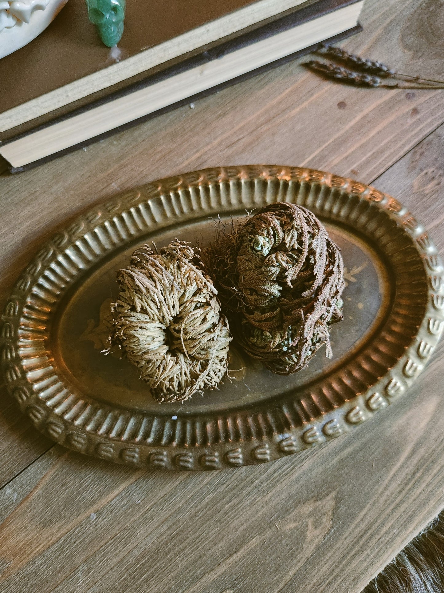 Rose of Jericho, Resurrection Flower