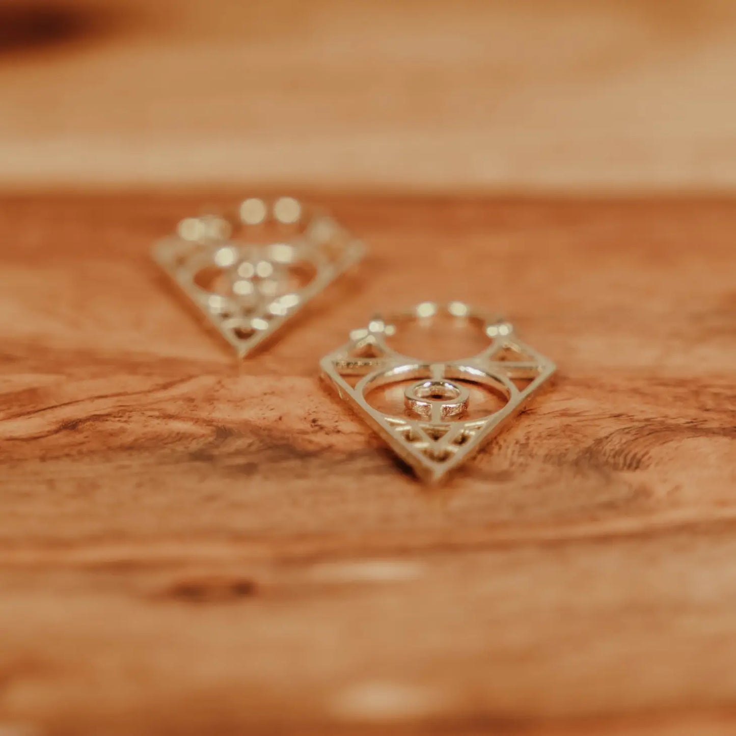 Gateway Earrings - Brass